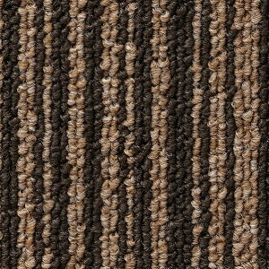 �^�C���J�[�y�b�g NT-350V �o�����[���C�� VALUE LINE 50cm×50cm NT-305V 1��