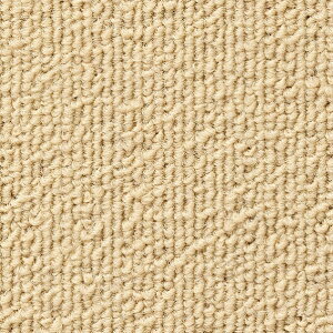 �^�C���J�[�y�b�g NT-350 50cm×50cm NT-35001 1��