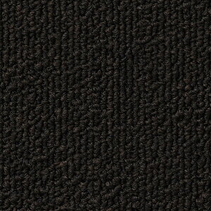 �^�C���J�[�y�b�g NT-350 50cm×50cm NT-35003 1��