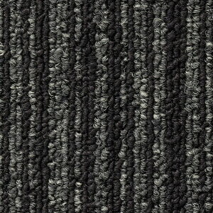 �^�C���J�[�y�b�g �o�����[���C�� VALUE LINE ���ʂ̂�t 50cm×50cm NT-304S 2��