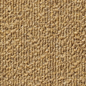 �^�C���J�[�y�b�g NT-350S ���ʂ̂�t 50cm×50cm NT-363S 2��