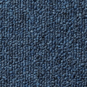 �^�C���J�[�y�b�g NT-350S ���ʂ̂�t 50cm×50cm NT-356S 2��