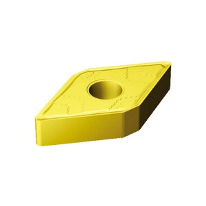 �T���h�r�b�N T�|MAXP�`�b�vCOAT 2025 1�_ x 10�_