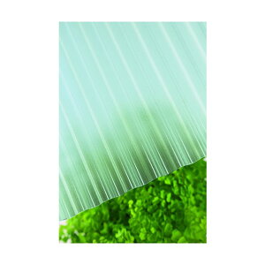�^�L����KC�z�[���C���v���[�u�����g �^�L�����@�|���J�g�M���J�b�g�@32�g�@6�ځ@4050�N���A�X���[�N�}�b�g 1�_ x 10�_