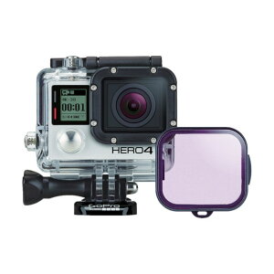 �^�W�}���[�^�[�R�[�|���[�V���� GoPro�}�[���^�_�C�u�t�B���^�[�_�C�u�n�E�W���O�p ADVFM-301 1