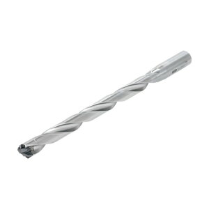 �^���K���C �w�b�h�������h���� �h����.�}�C�X�^�[ TID-R(L/D��12) TID240R32-12 1�_