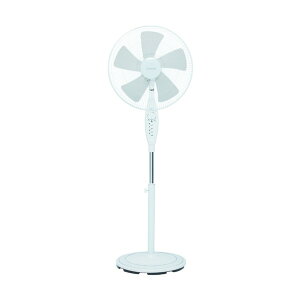 AC�t���A��@ FS-F40R�iW�j FS-F40RW 1��