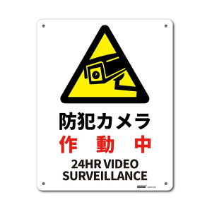 ��ʕ\���i�A���~�j �h�ƃJ�����쓮�� 250x315 J2592-AM