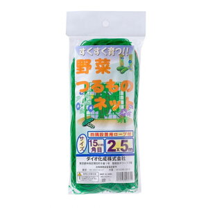 CmxbNX ؂̃lbg 2MX5M 1_