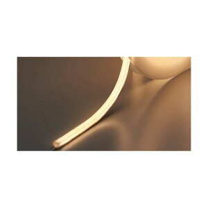 �i220055727�jLED-TAPE-F-5000-2-XWLED�e�[�v���C�g LED-TAPE-F-5000-2-XW