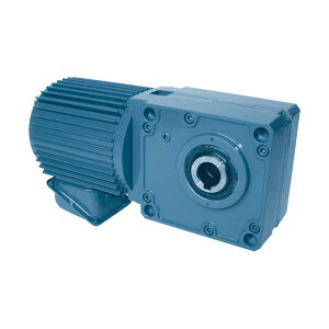 �V�O�}�[�Z�� ���s���󎲃M�A���[�^�[�O��100W ������1/10 TMH2-01-10 1�_