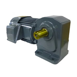�V�O�}�[�Z�� ������IE3�A���s���󎲎O��750W�r��t�`�u���[�L�t���M�A���[�^�[ ������1/60 TMHLB-08E-60 1�_