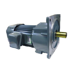 �V�O�}�[�Z�� ������IE3�A���s���O��2200W�t�����W��t�`�u���[�L�c�L�M�A���[�^�[ ������1/15 TMFB2-22E-15 1�_