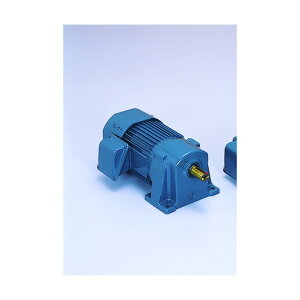 �V�O�}�[�Z�� ������IE3�A���s���O��750W�r��t�`�M�A���[�^�[ ������1/40 TML2-08E-40 1�_