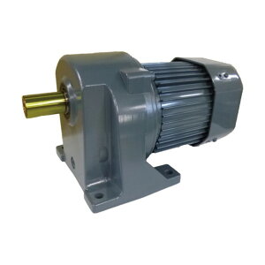 �V�O�}�[�Z�� ������IE3�A���s���O��750W�r��t�`�u���[�L�c�L�M�A���[�^�[ ������1/40 TMLB2-08E-40 1�_