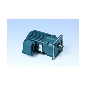 �V�O�}�[�Z�� ������IE3�A���s���O��750W���t�����W��t�`�M�A���[�^�[ ������1/80 TMK2-08E-80 1�_