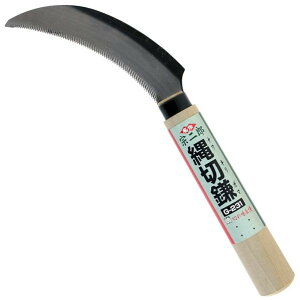 �@��Y ㊐؊� G-231 1�{