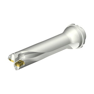 �R���h����DS20�n��������h�����i465�j DS20-D4100DM40-04 (465)