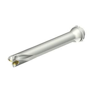 �R���h����DS20�n��������h�����i465�j DS20-D4200DM40-07 (465)
