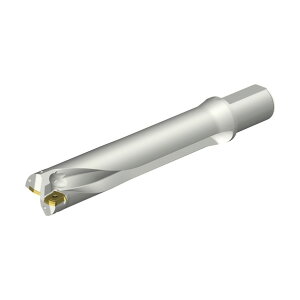 �R���h����DS20�n��������h�����i465�j DS20-D5600L50-05 (465)