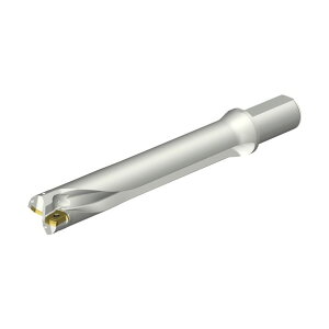 �T���h�r�b�N �R���h����DS20�n��������h����(465) DS20-D4128LX38-06 1�_