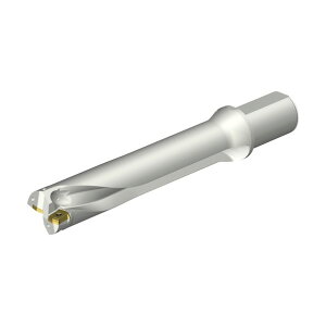 �T���h�r�b�N �R���h����DS20�n��������h����(465) DS20-D5000L50-05 1�_