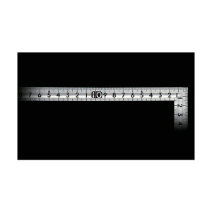 �V�������� �Ȏڏ��^�a�t(��������) 30×15cm 12017 1�_