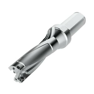 �Z�R �h���� �p�t�H�[�}�b�N�X�h���� 3D�^�C�v SD523 03080670 1��