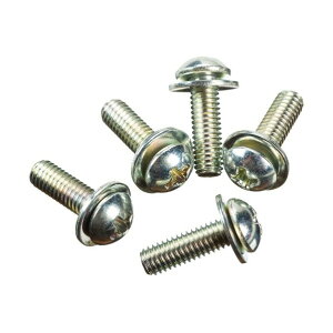 ���W�b�h E-5546-X �X�N�����[(5�{����) F/205�E15SI 150 x 100 x 10 mm 61097 1PK