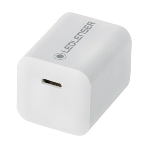 USB�[C AC�A�_�v�^�[ ACDC031 1��