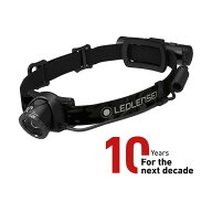 LEDヘッドライト 10thAnniv H8R 1点
