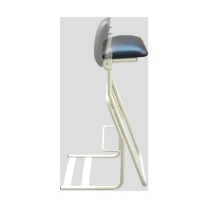 �e���|�����[�`�F�A Z TEZ-685 1��