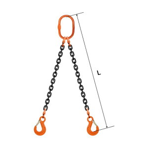 �X�����O�`�F�[�� �_�u��(�A�C�^�C�v) WE1 13×2.5M 035ZPWE1132S5 1�g