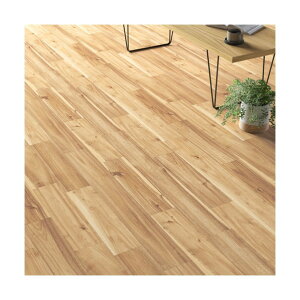 �哇�� �y�b�g�Ή����L�N�b�V�����t���A �O�����A�J�V�A CES1302 182cm×20m CES1302182 0
