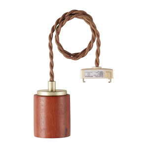 �����d�� �y���_���g�\�P�b�g E26 �R�[�h��: ��60cm �ؖڃ_�[�N PD-WE26D 1��