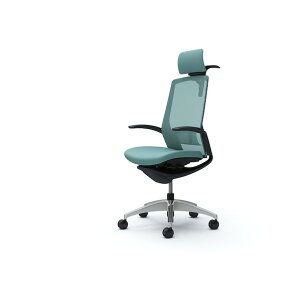 �I�J���� �t�B�m���`�F�A EX�n�C�o�b�N ���N�b�V���� �u���b�NB C74DAS F1G6 1�_