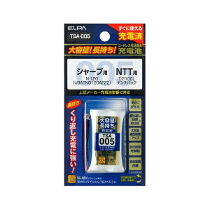 �����d�� ��e�ʒ������[�d�r 2.4V 900mAh TSA-005 1��