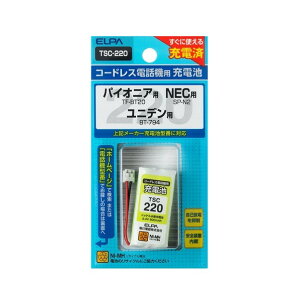 �����d�� �d�b�@�p�[�d�r 2.4V 600mAh TSC-220 1��