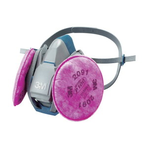 �X���[�G�� �h�o�h�Ń}�X�N 6500QL/2091-RL3M 1��