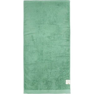 �o�X�^�I�� �e�b�N�J���[ ��60×120cm �O���[�� BP511104 1��