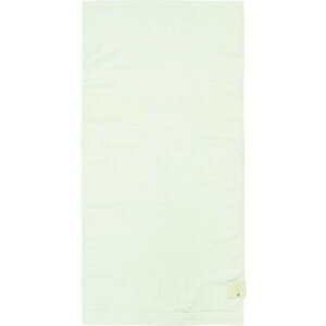 �o�X�^�I�� �e�b�N�J���[ ��60×120cm �z���C�g BP511110 1��