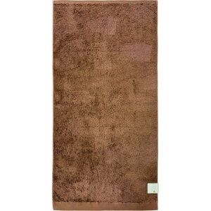 �o�X�^�I�� �e�b�N�J���[ ��60×120cm �u���E�� BP511126 1��