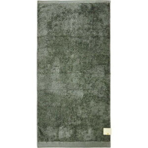 �o�X�^�I�� �e�b�N�J���[ ��60×120cm �_�[�N�O���[ BP511149 1��
