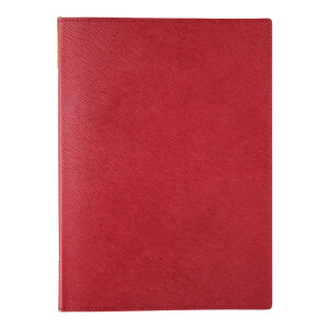 �V���r �V���r ���j���[�u�b�N �� GL-101A 1��