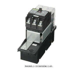 �����H�� �v���O�C�����j�b�g�t�R�d�u���[�J�i����`�j GE53CXPH3P50AF100 1�_