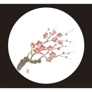 �A�[�e�b�N �a���R�[�X�^�[ ��(50����) �~ WCO-M2N 50��