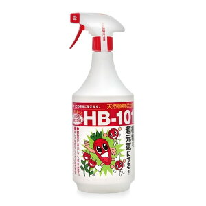 �t���[�� ���̂܂܎g���� �X�v���[�^�C�v��HB-101�V�R�A�����͉t 1L 1