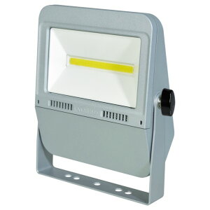 �����H�� �t���b�g���C�g30W �d�ω��d�l LEN-F30D-SL-50K-SAL 1P