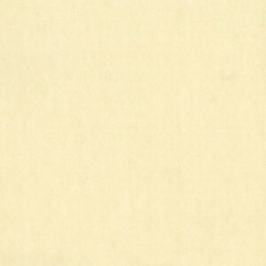 VR[ t@jVOeLX^C ֎q萶n UEPbg 135cm T-9665 1mP