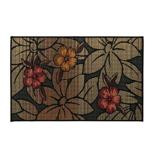 �A�Y���� �����Y �������փ}�b�g �wF�Ȃ��x �u���b�N ��60×90cm(��:�E���^��) 1080090034604 60×90cm �u���b�N 64-8014-22 1�_